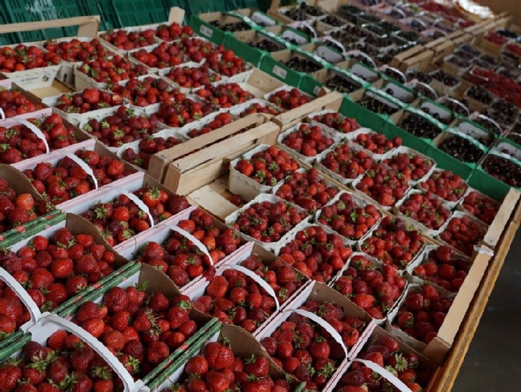 Przybywa biokonsumentów. Moda na zdrową żywność nie mija